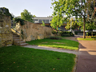 Grüner Park mit Treppe, Mauer und Bäumen. Landschaft im Freien, sonniger Tag.